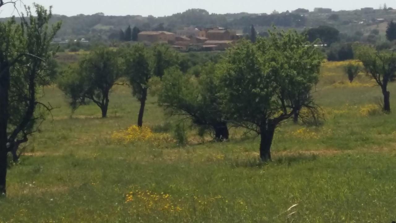 Vento Di Tramontana Bed and Breakfast Agrigento Eksteriør billede